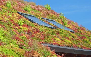 West Meon Woodlands living roof systems