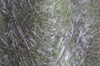 West Meon Woodlands fibreglass roof work